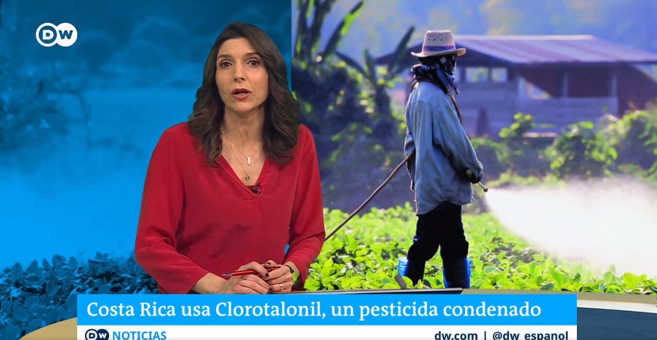 A finales de marzo Alemania rechazó un cargamento de melones costarricenses (cultivados en la región Chorotega) por la alta concentración (8 veces más de lo permitido) con el agroquímico clorotalonil que desde el 2020 está prohibido en la Unión Europea por su efecto cancerígeno
