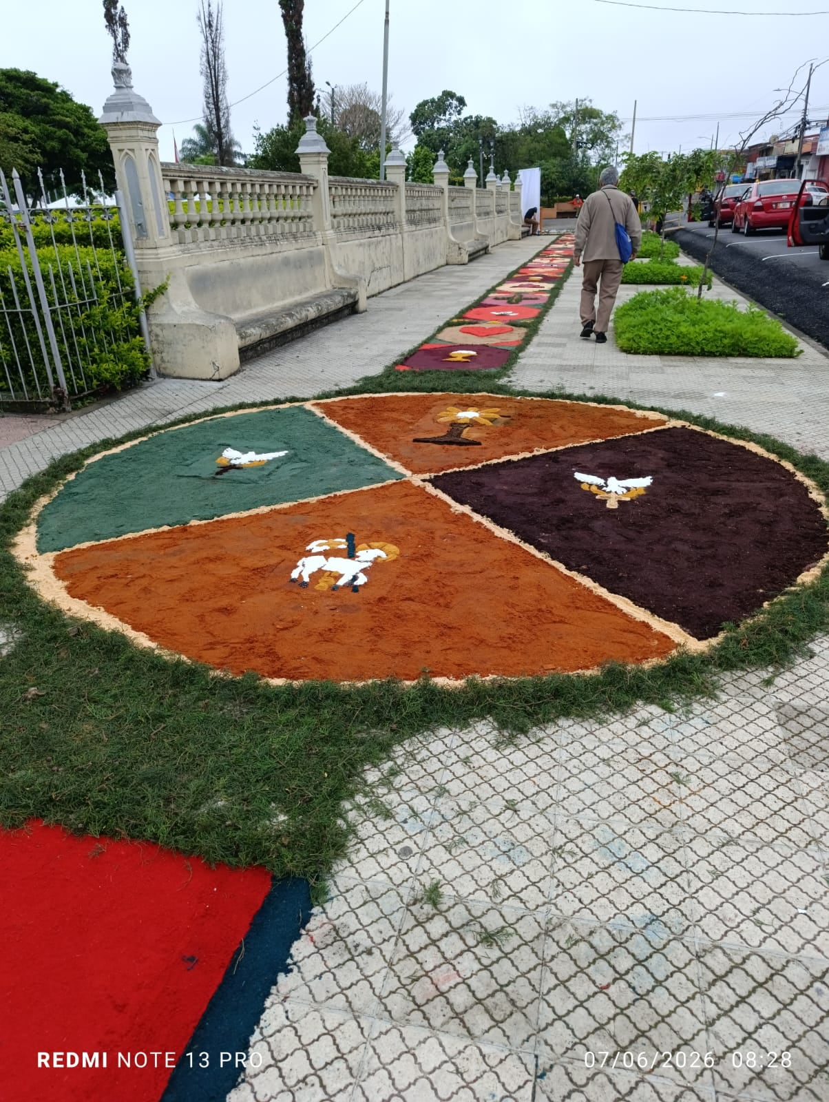 La celebración de Corpus Christi, desde la madrugada del domingo 7 de junio decenas de vecinos trabajaban contra reloj para convertir las calles alrededor del templo de San Rafael Arcángel de Heredia en una verdadera alfombra de fe, color y tradición. Mauricio Campos fue uno de ellos.