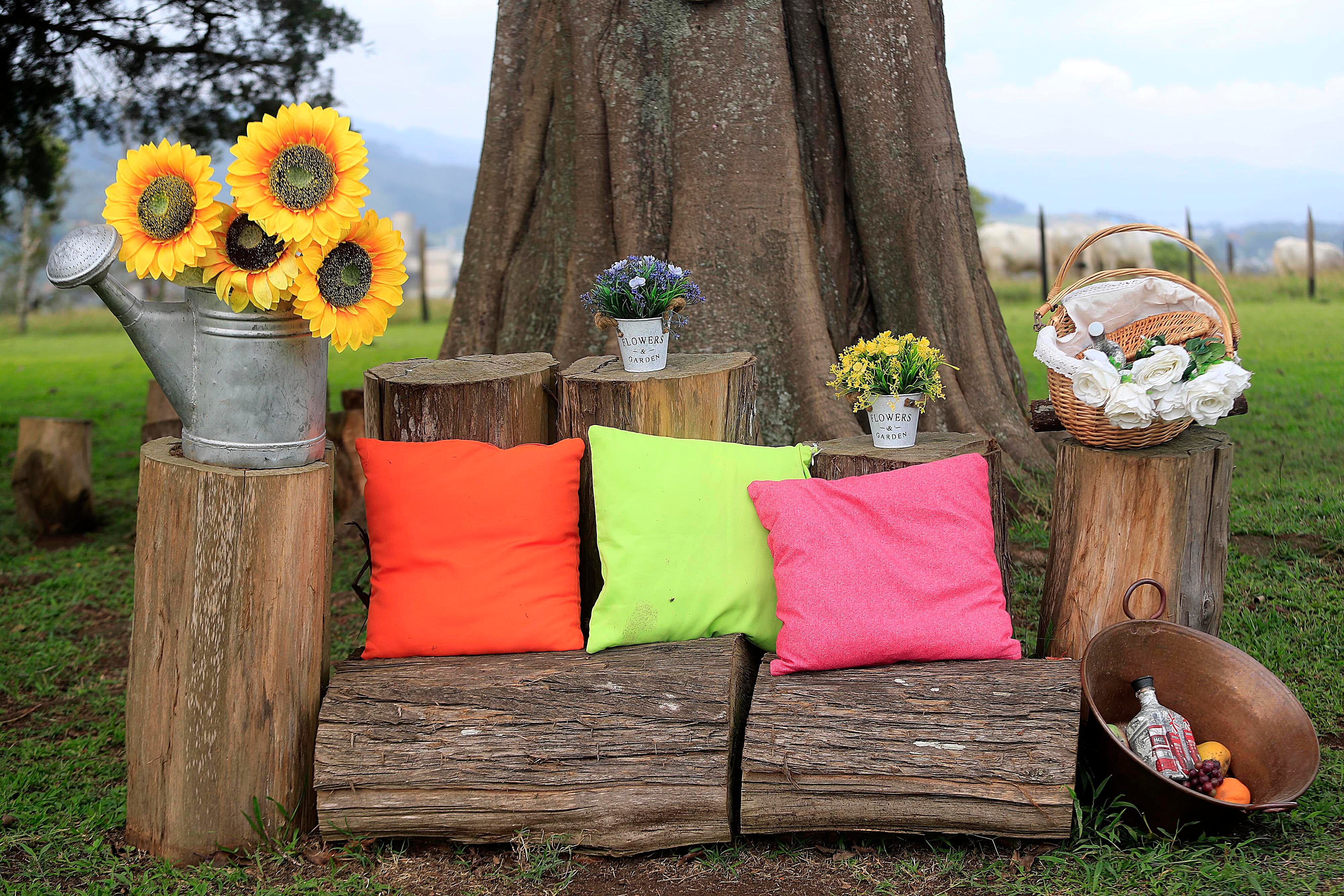 31/10/2023 Dulce Nombre de Cartago. Picnic Las Lomas, emprendimiento familiar enfocado en un nuevo estilo de diversión en familia, entre amigos o pareja. Abre las puertas los fines de semana y se puede disfrutar de juegos tradicionales sobre césped bien cuidado, se puede montar a caballo, descansar y comer muy bien.