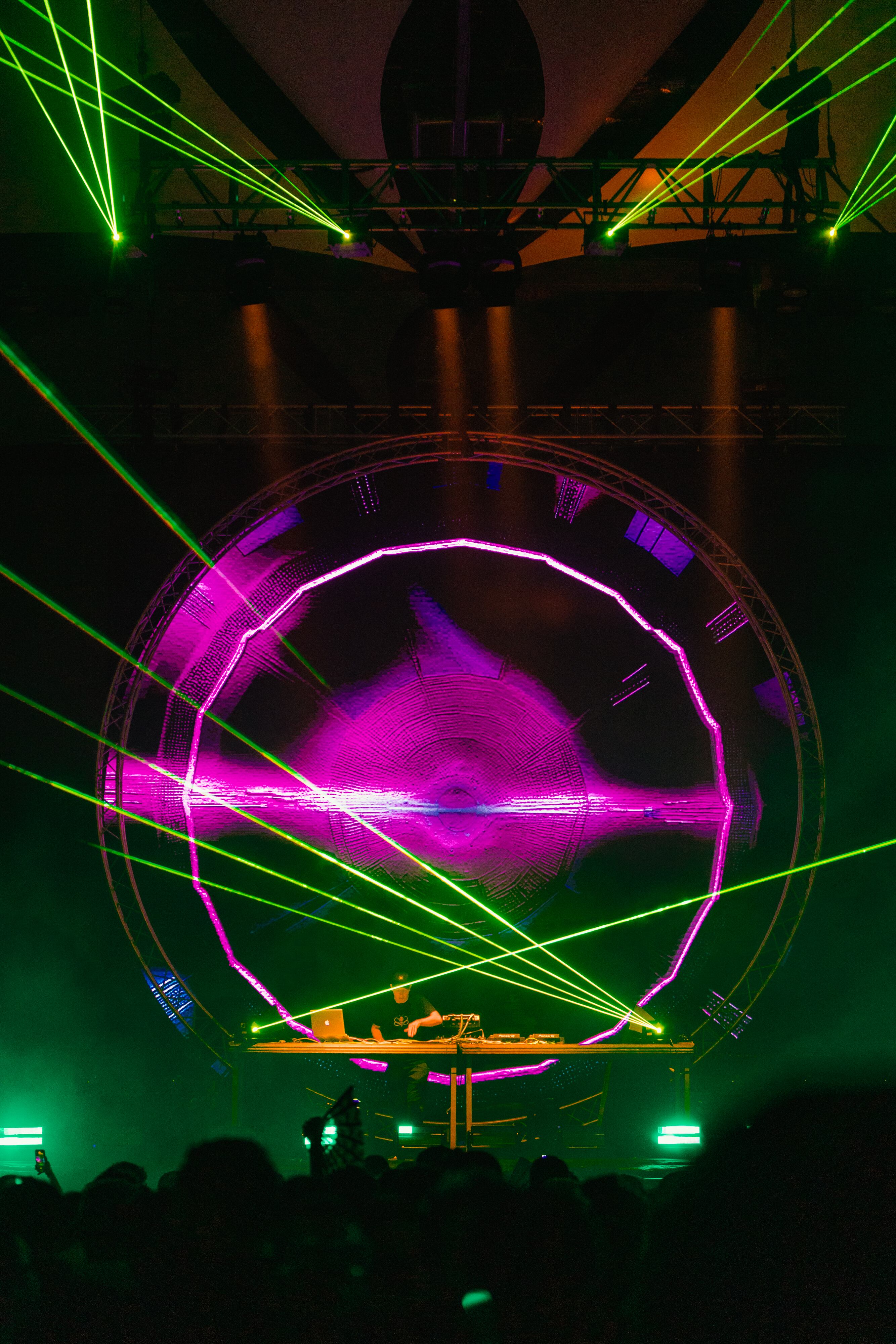 Electric Animals Halloween 2024