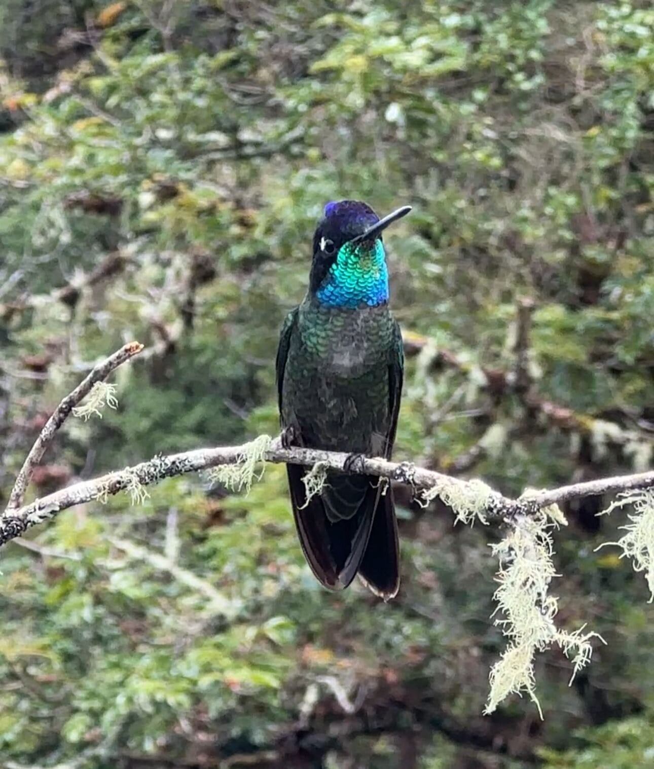 Jeff On encontró en Costa Rica su rincón perfecto para relajarse y recargar energías.