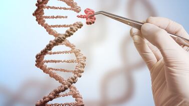 ¿Cuál de los hijos se lleva la mejor genética? La ciencia dio su veredicto