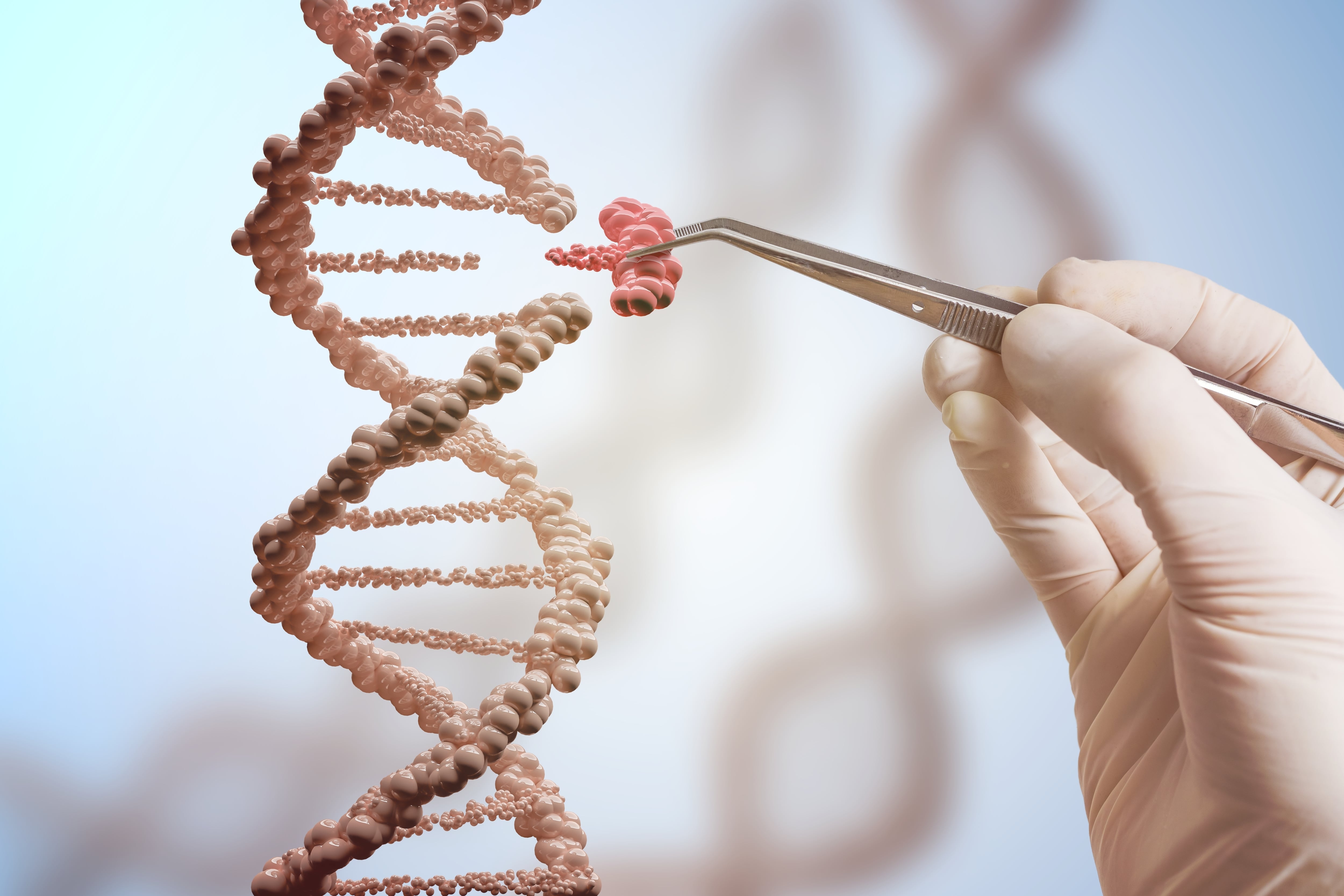 El doctor tico Rodrigo Mora Rodríguez, microbiólogo de la UCR, encontró el freno de mano que usa un gen del cáncer para sobrevivir y multiplicarse