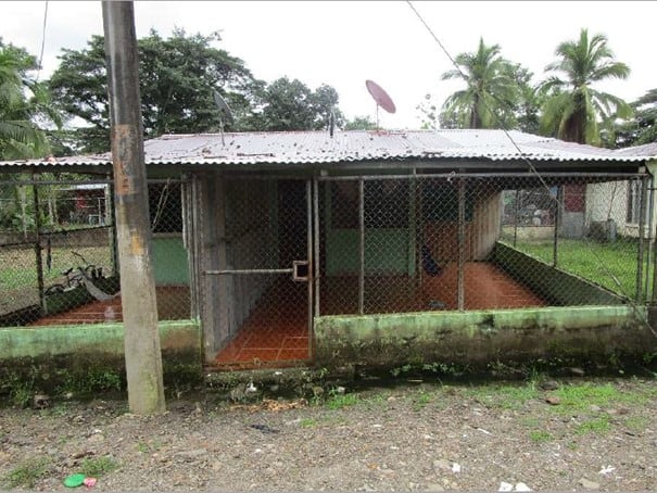 La casa en Upala es algo más cara, pero es más grande.