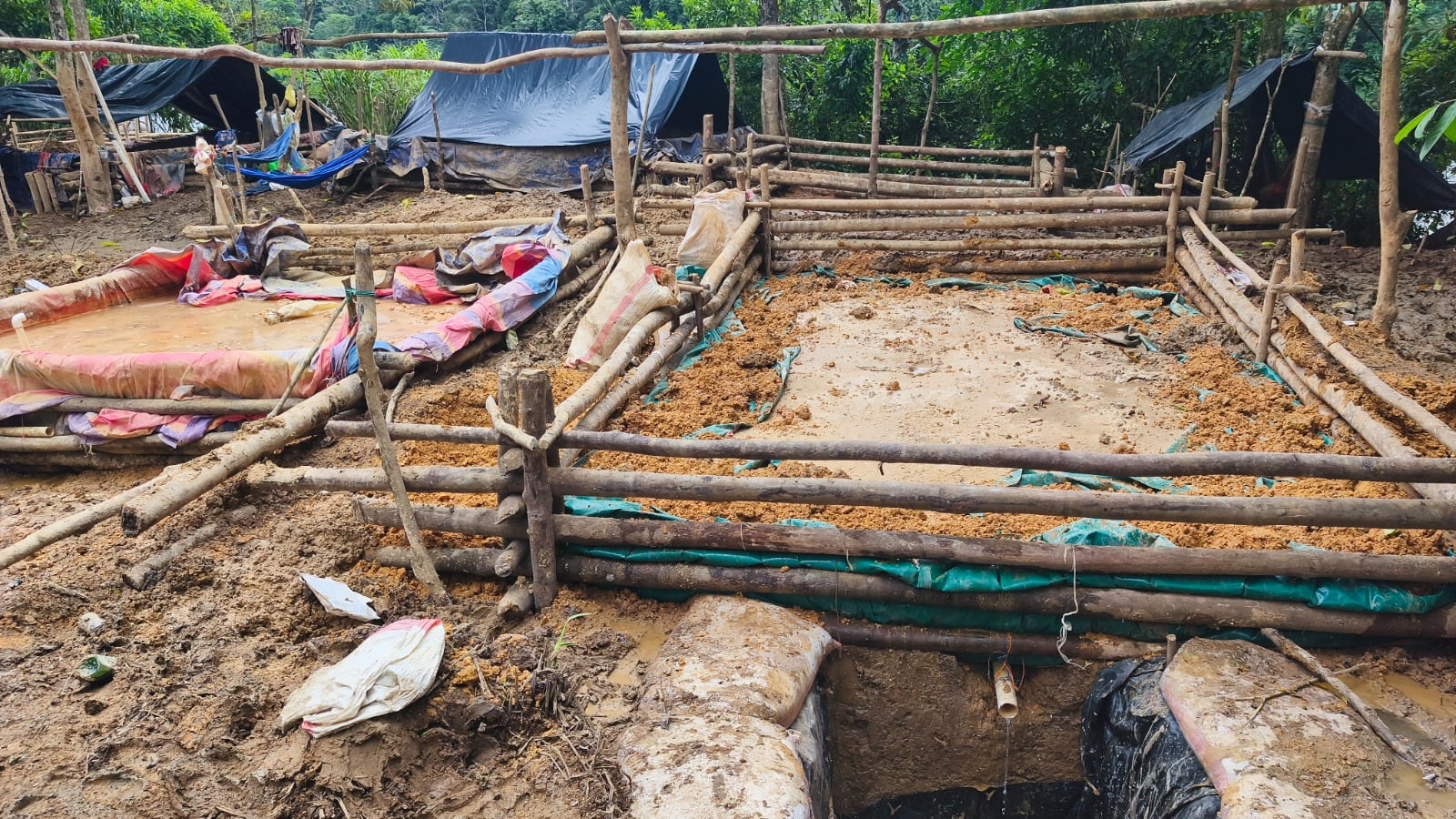 operativos Crucitas 2026