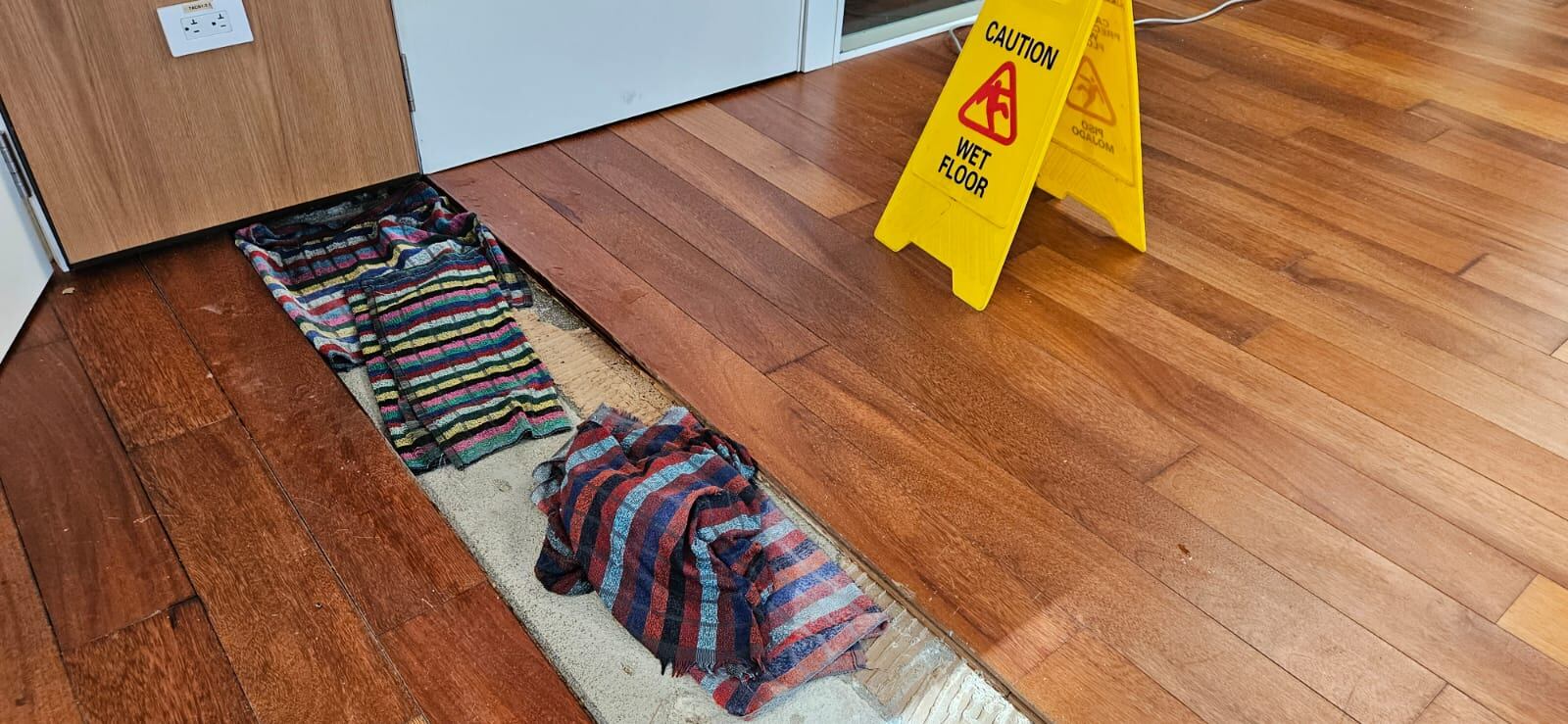 Daños por el agua en la Asamblea Legislativa