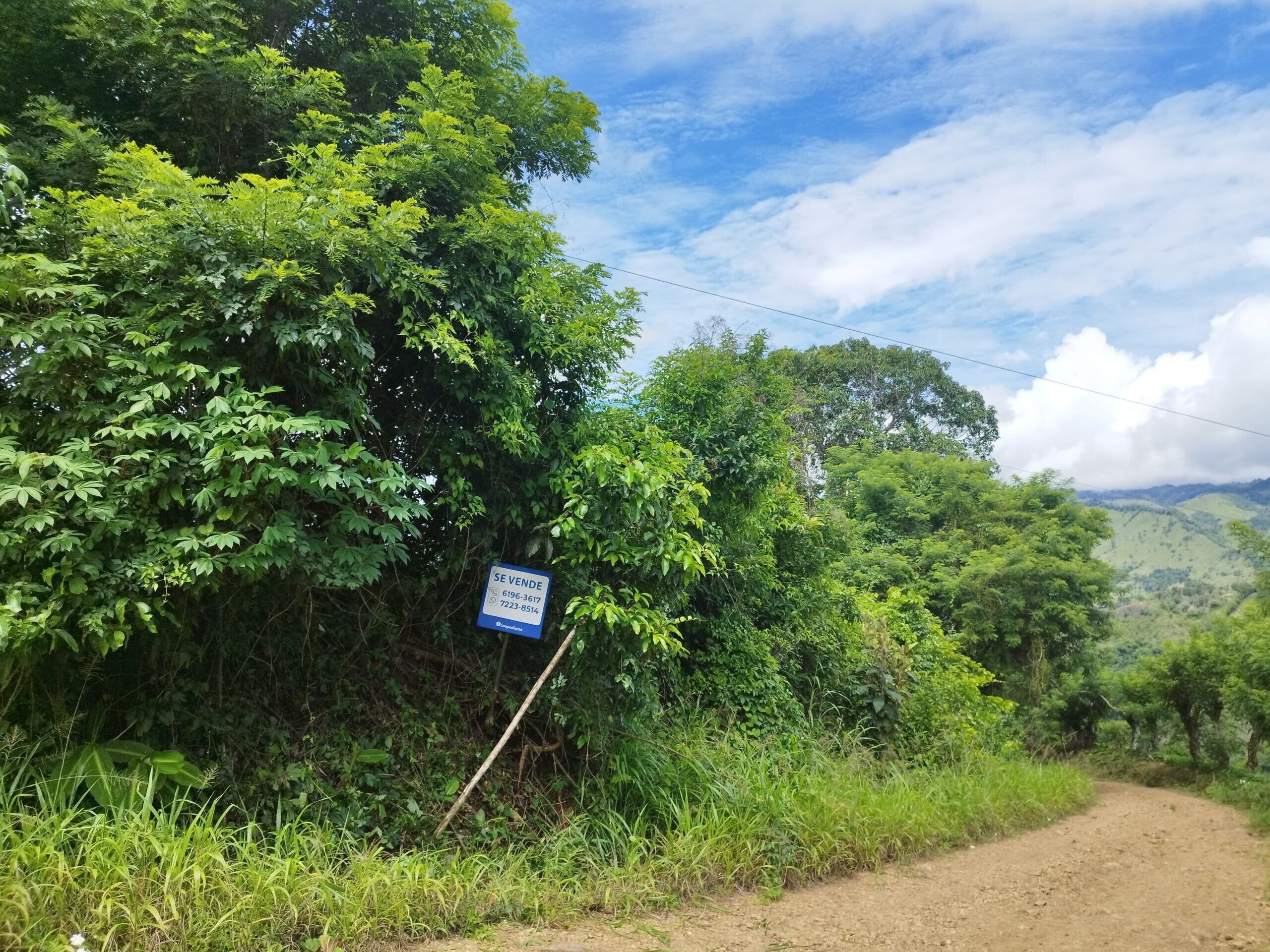 Coopealianza está ofreciendo varias fincas y lotes a buenos precios, para aquellas personas que están en busca de un hogar.