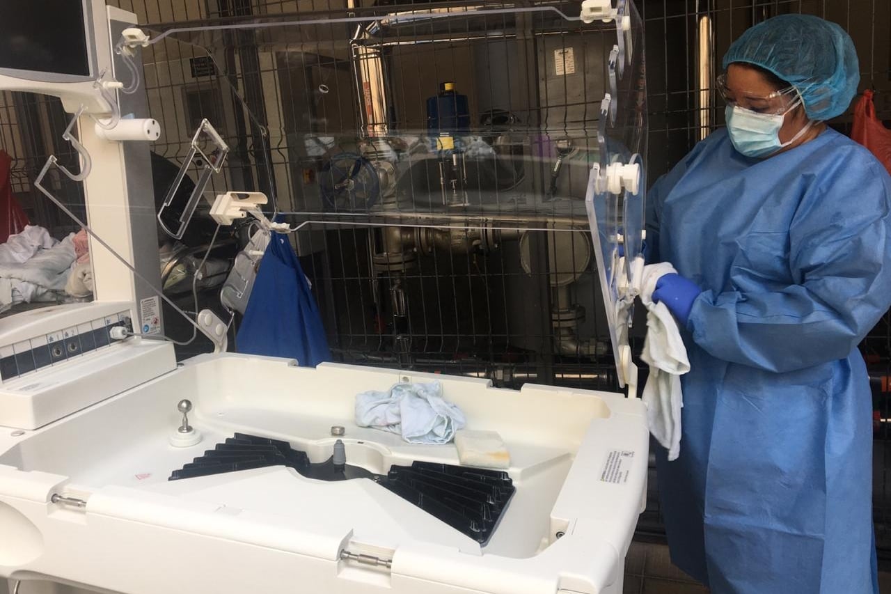 Tres bebés prematuros murieron por peligrosísima bacteria Streptococcus agalactiae