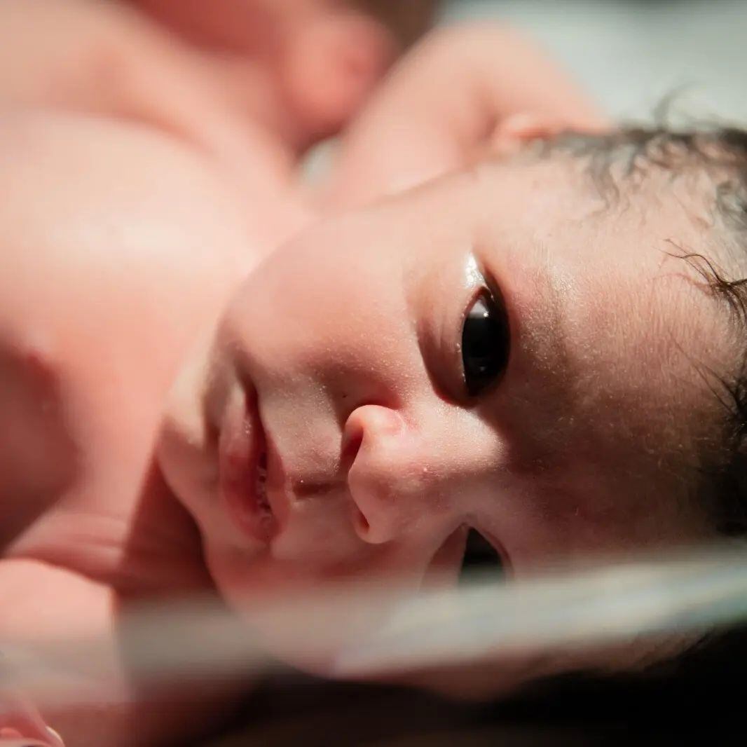 Lussania Viquez presentó este viernes a sus colochudos: Antonella y Alessandro. Facebook.