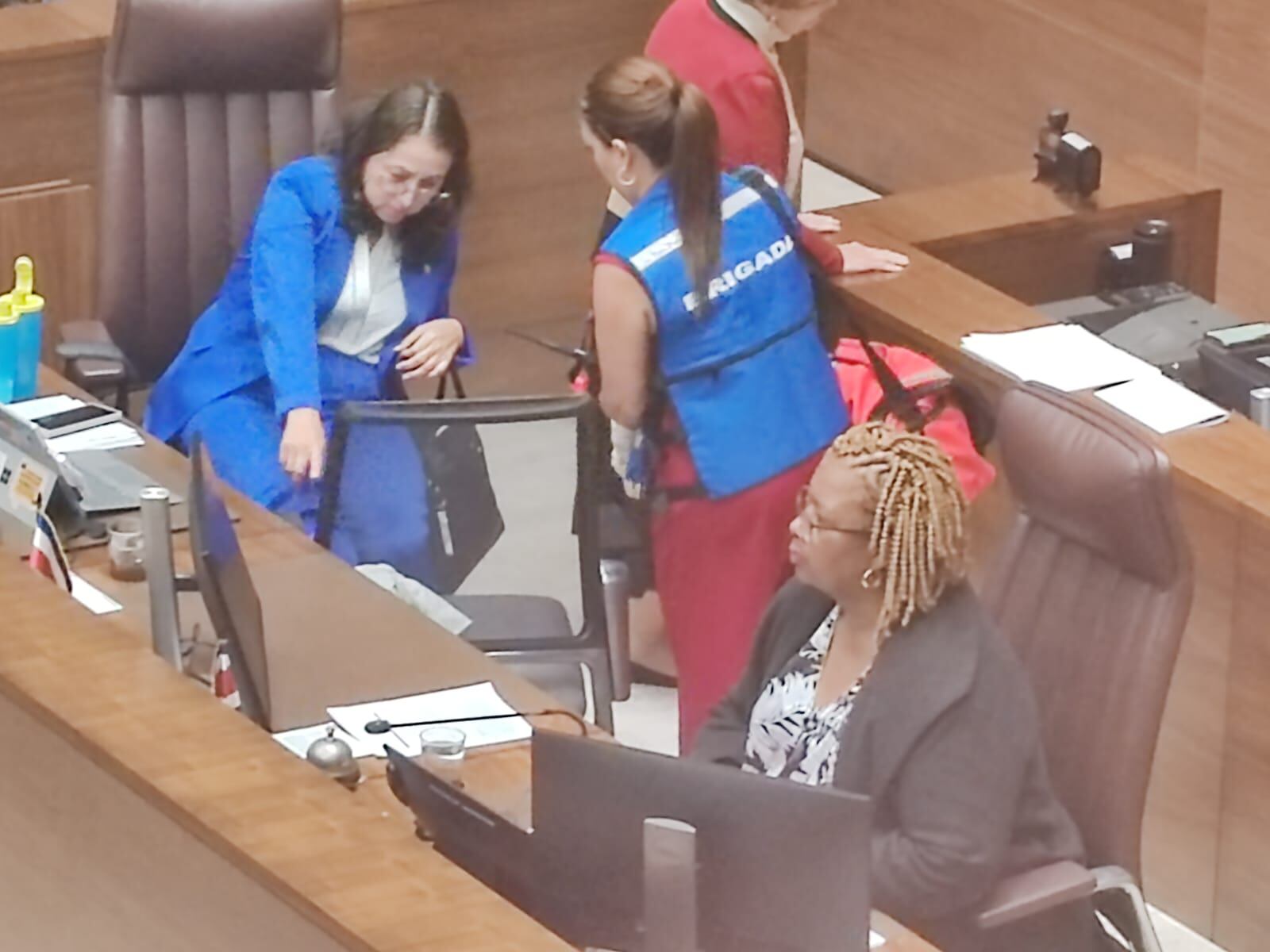 diputada Luz Mary Alpízar