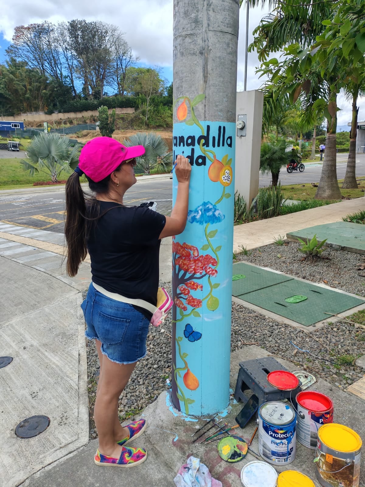 En el distrito de Granadilla del cantón de Curridabat, el 22 de febrero del 2025, comenzaron a pintar los postes de luz con el objetivo de luchar a pura brocha y pintura contra la delincuencia