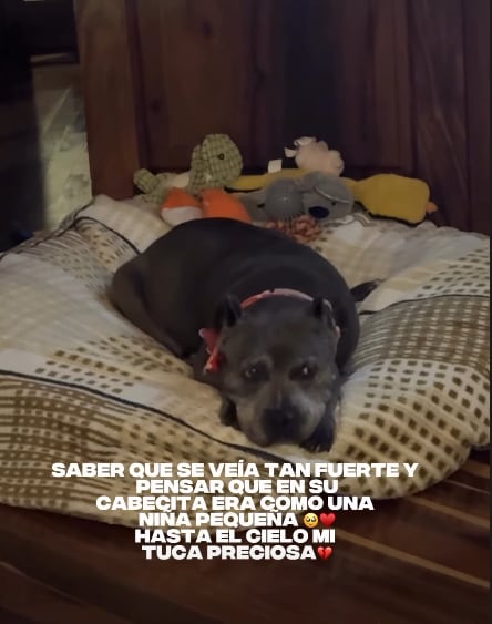 Elena Correa, cantante y exreina de belleza