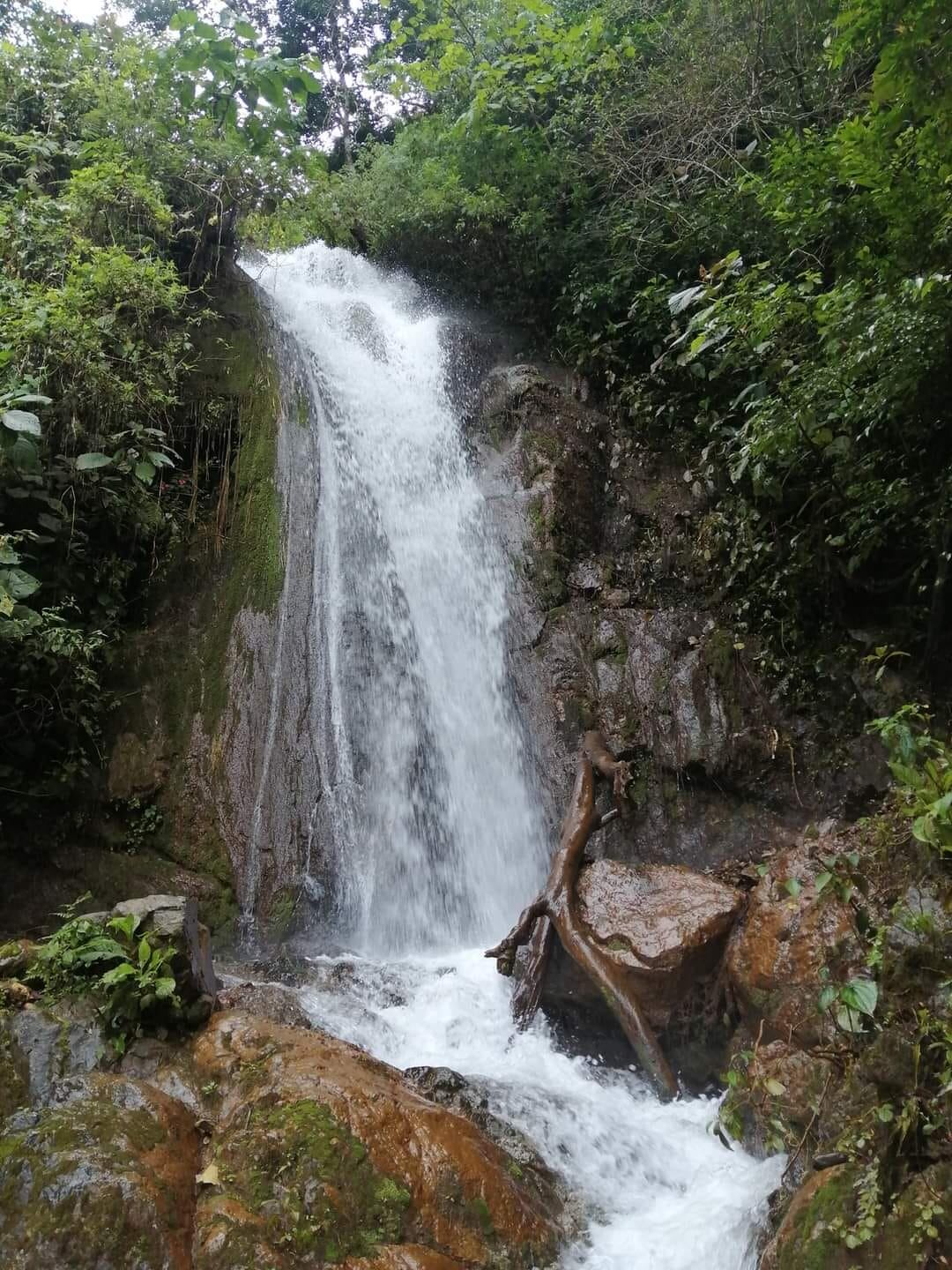 Catarata a una hora de San José es todo un atractivo con sus senderos y frescura.