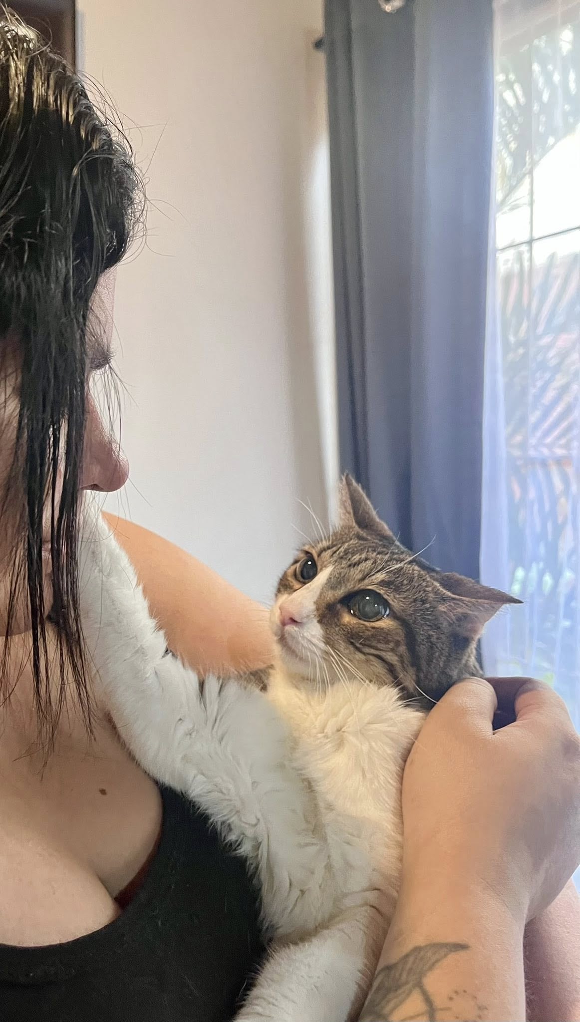 La exdiputada Paola Vega compartió la triste noticia de que su gata Nuska murió. Hace poco ella se enteró que tenía cáncer.