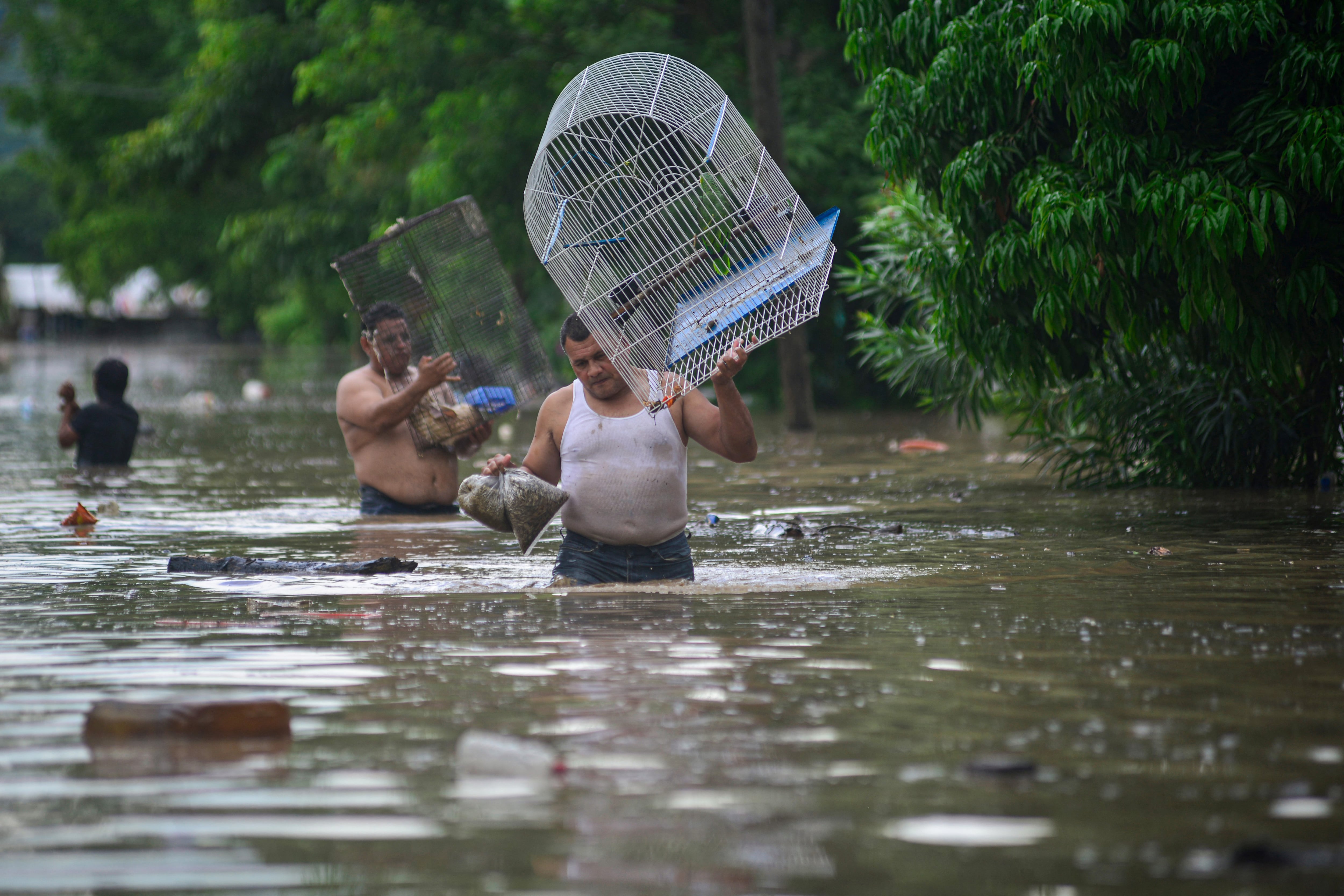 Habitantes intentan recuperar pertenencias entre el lodo tras el paso de las lluvias en Hidalgo. (AFP)