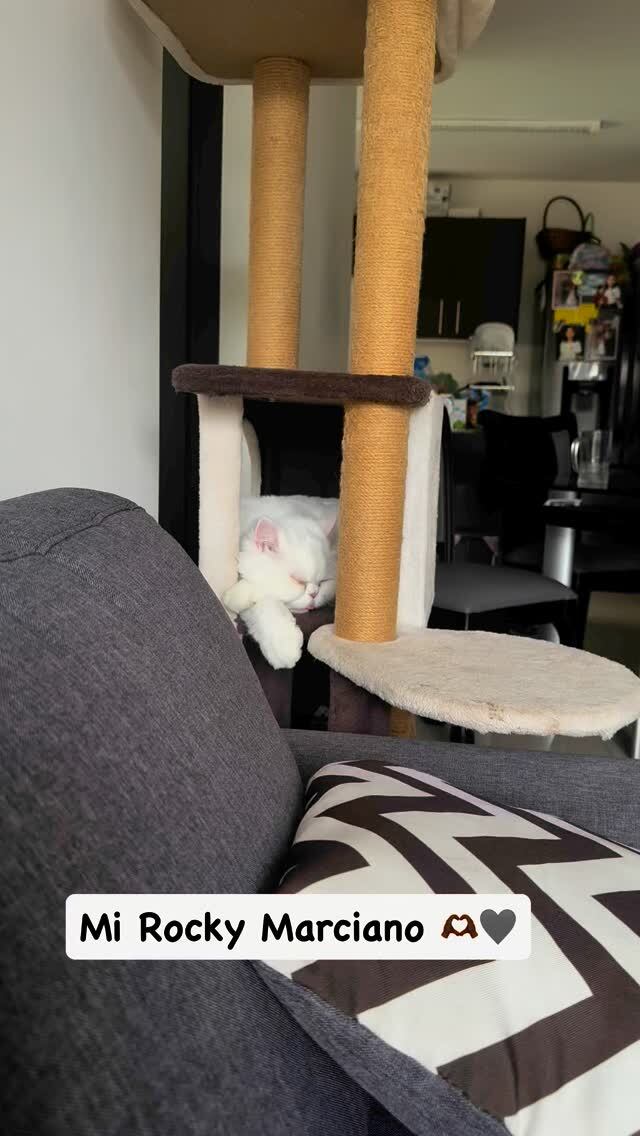 Yokasta Valle, boxeadora costarricense y campeona mundial.