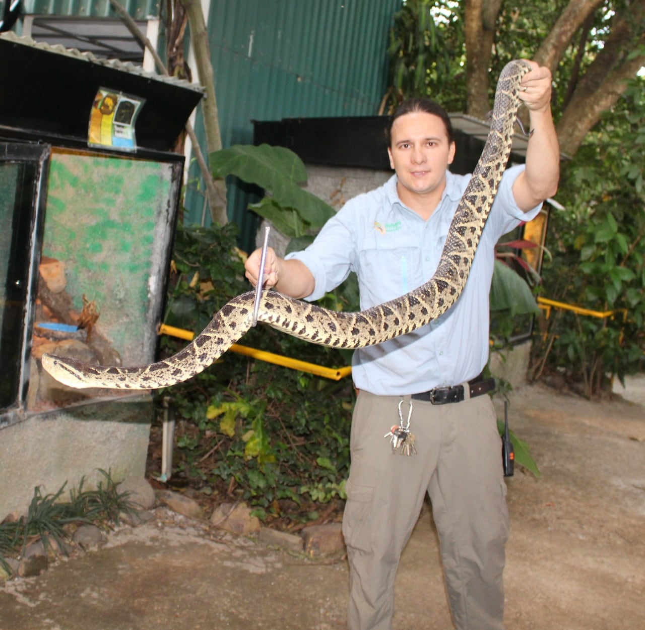Refugio Animal de Costa Rica recibió en abril pasado 3 tucanes esmeralda. En la foto el biólogo Rodolfo Vargas Leiton.
