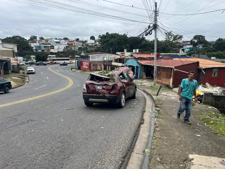 Árbol cae sobre dos carros en San Sebastián