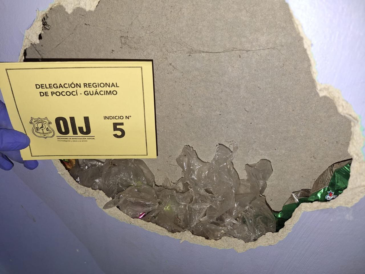 Un oficial de la Fuerza Pública sufrió una brutal golpiza y los sospechosos serían integrantes de una banda narco asentada en la paradisiaca zona de Tortuguero, en el Caribe de Costa Rica. Foto: OIJ