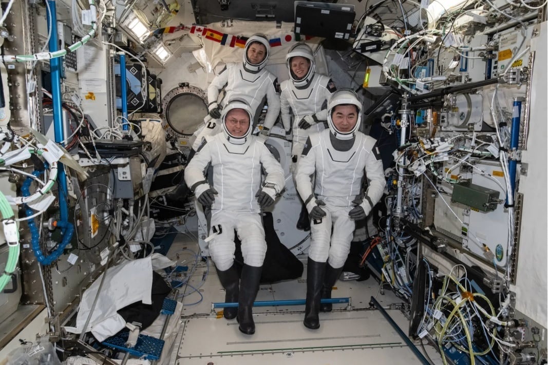 Los integrantes de la misión SpaceX Crew-11 finalizaron sus labores antes de lo previsto.