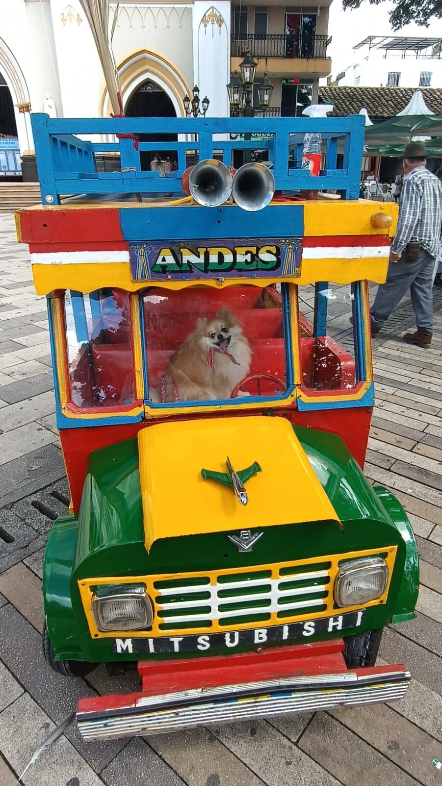 Melissa Cambronero y Carolina Rosales, de 33 y 34 años respectivamente, son dos guapileñas que, junto a su perrita Chiky, viajan en bicicleta de Guápiles a la Patagonia, salieron en agosto del 2024
