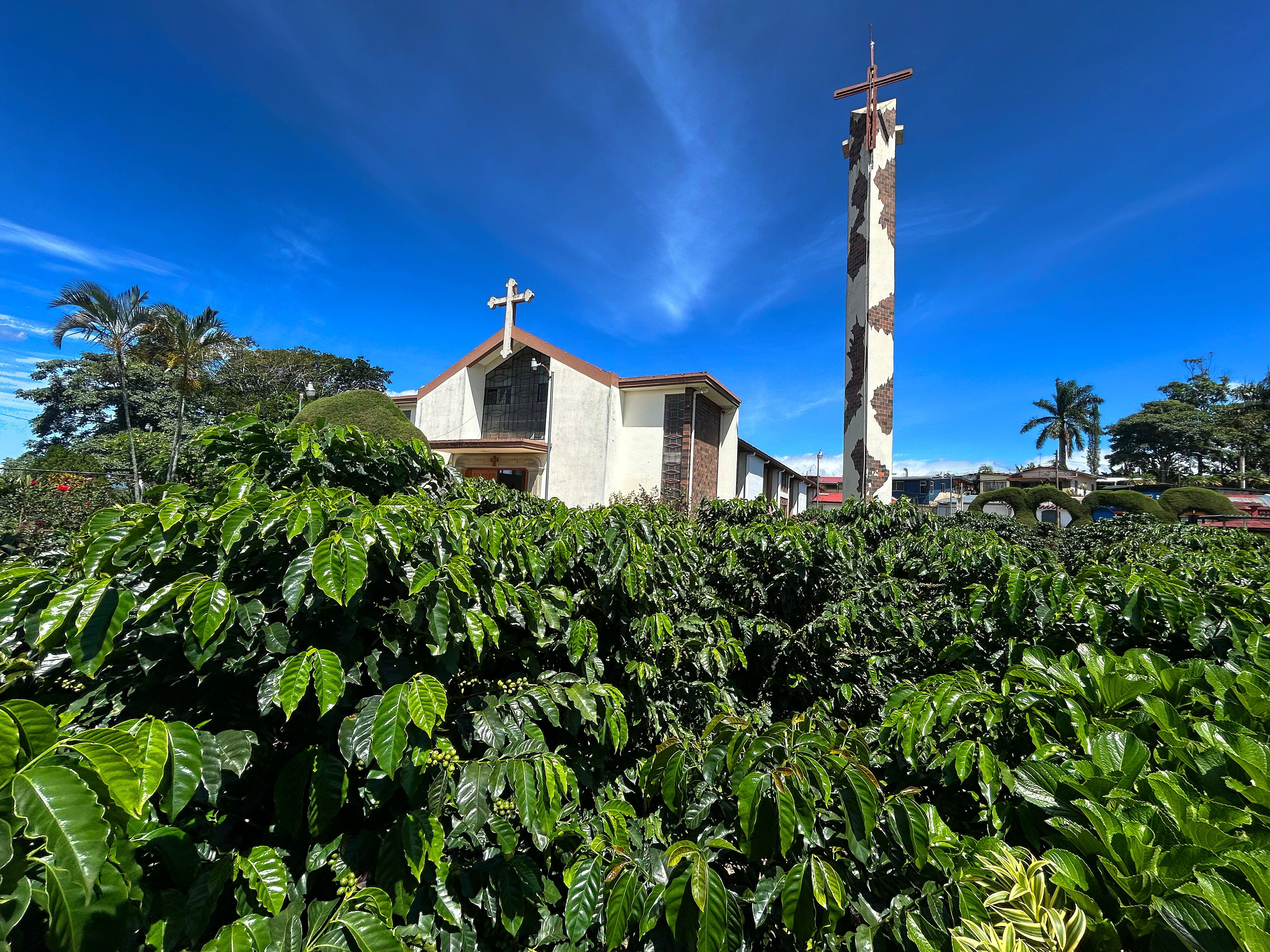Iglesia de San Isidro de Alajuela, única en el país con su propio cafetal