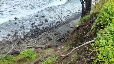 Camionero se estaciona y encuentra cuerpo de persona en el fondo de un acantilado