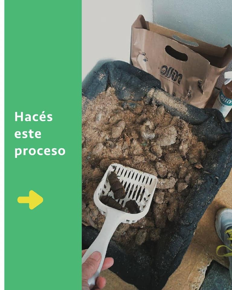 Abono con popo de perro