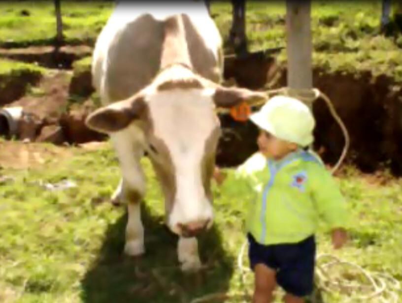 En Barranca de Naranjo, un pueblito escondido en la parte alta de la zona rural alajuelense, donde se respira olor a zacate fresco y la noche se ilumina con estrellas, nació y creció Samuel Villalobos Vargas quien estudia Ingeniería en Biotecnología y está a punto de hacer algo histórico: es el primer estudiante de su carrera y del TEC que irá a realizar su trabajo final de graduación al Instituto Karolinska, en Suecia, donde se define el Premio Nobel de Medicina