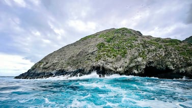 Guardaparques cae al abismo en la Isla del Coco y su rescate es muy complejo