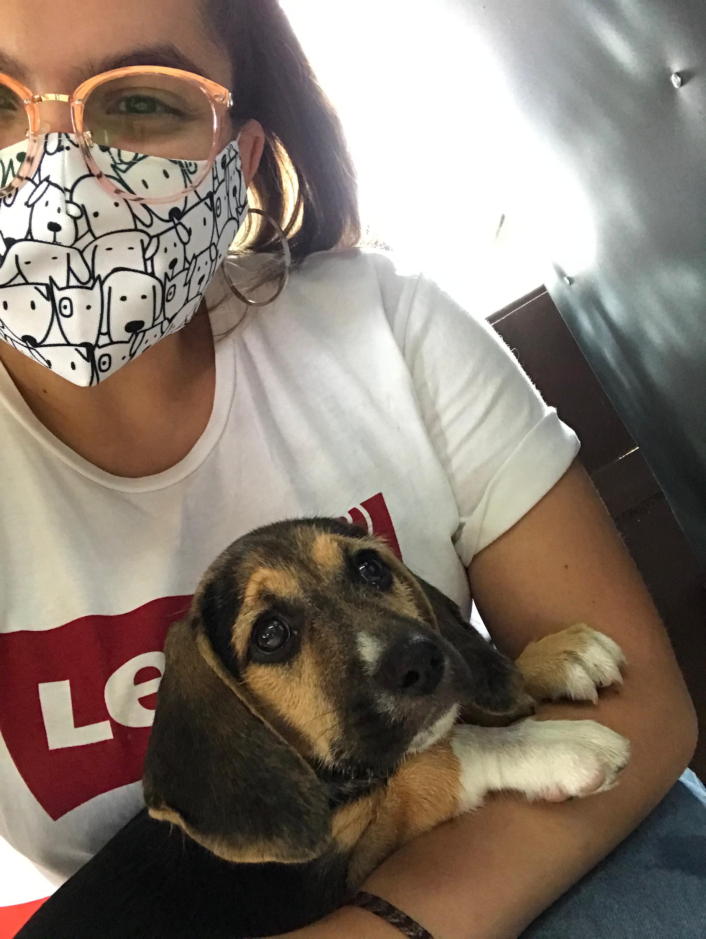 Alejandra Esquivel quien siempre supo que su vida estaría marcada por los perros, pero jamás imaginó que una peludita llamada Sol llegaría a convertirse en su refugio en medio de los días más oscuros de su vida.