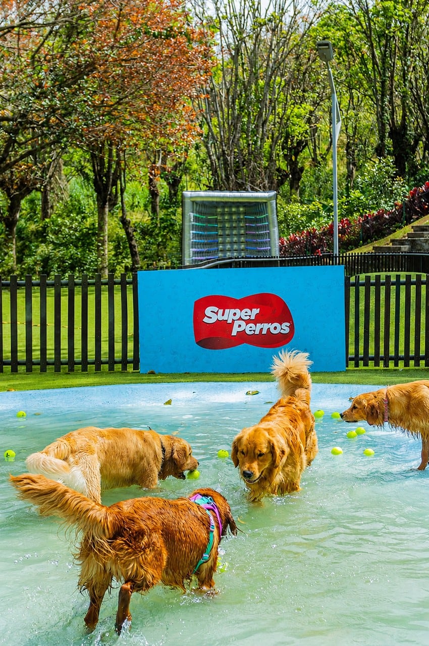 De la mano de Super Perro, que es 100% costarricense, Los Zumbis se disfrutan en familia y con las mascotas como protagonistas porque hasta ayudan a buscar en los mapas.