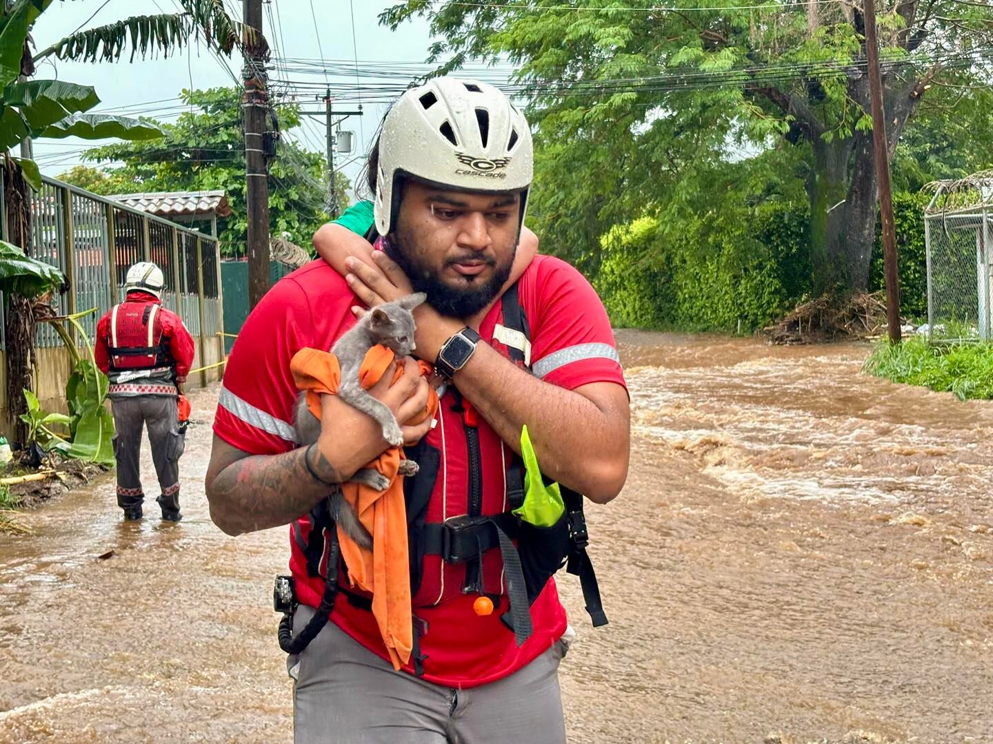 Carlos Miranda rescató a una niña de 8 años y a su pequeño gatos de apenas unos meses. Foto Cruz Roja.