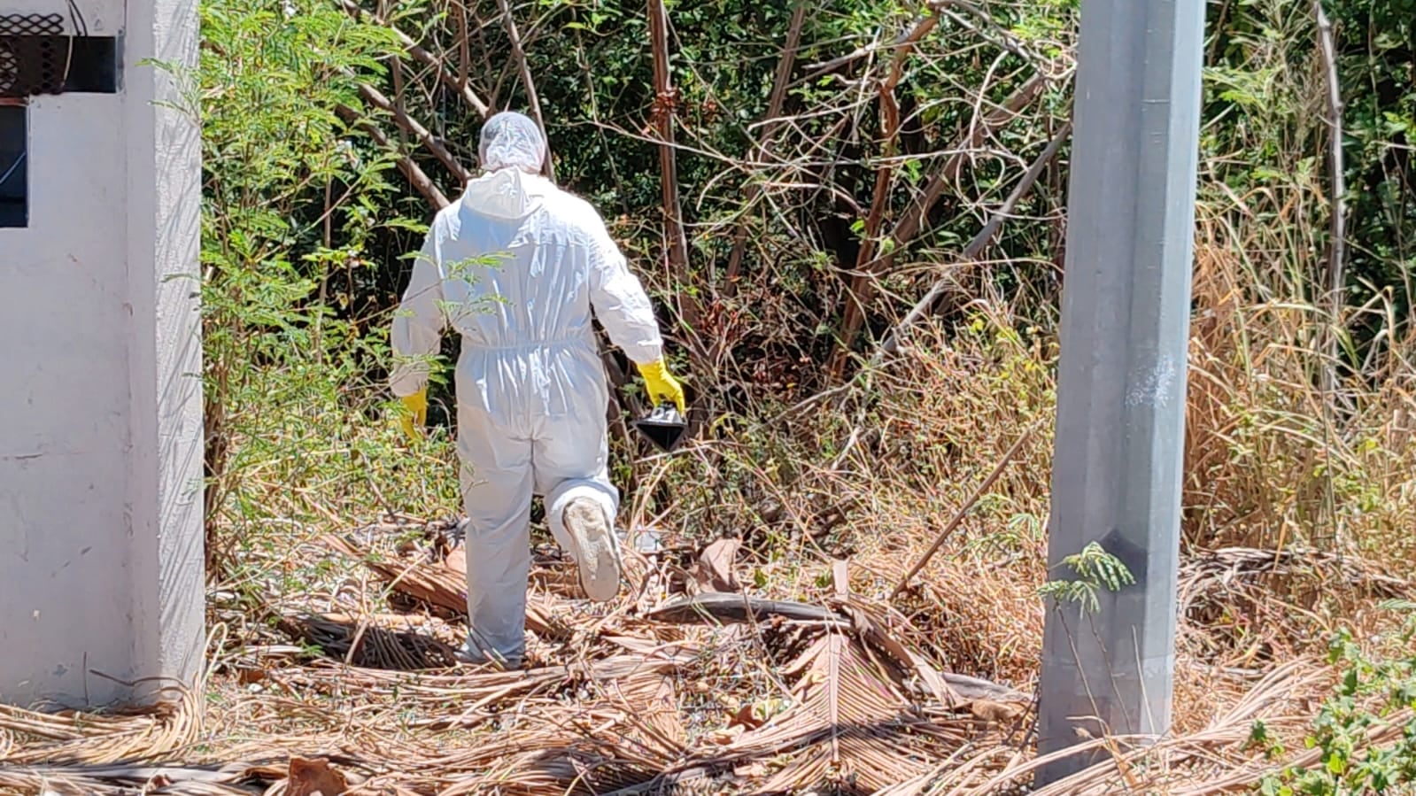 OIJ levantamiento de cuerpo