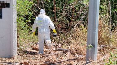 Así fue cómo los agentes del OIJ descubrieron violento crimen en propiedad de alemanes