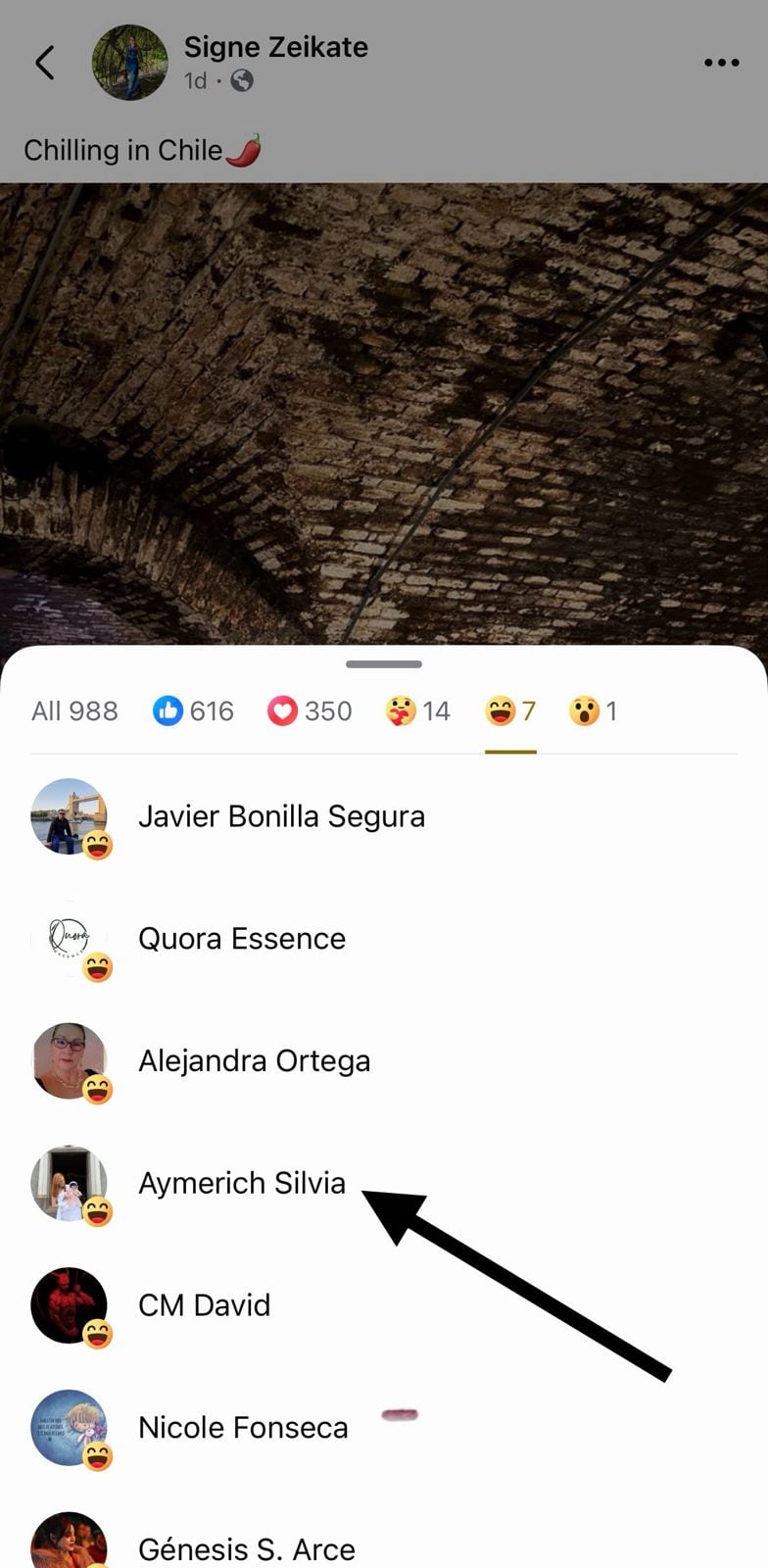 Fotografía de Rodrigo Chaves junto a Signe Zeikate publicada en redes sociales.