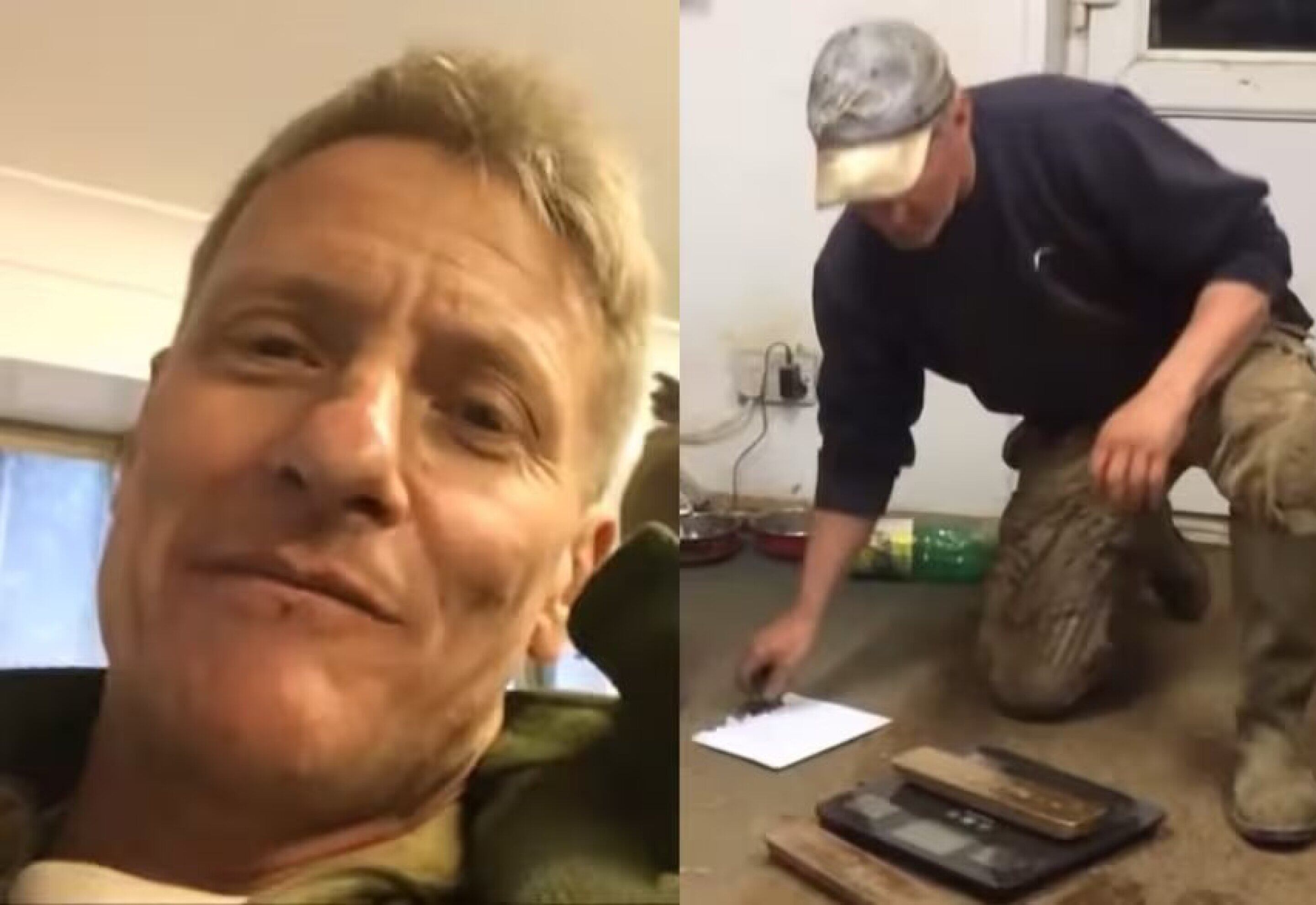 Nick mead lingotes de oro