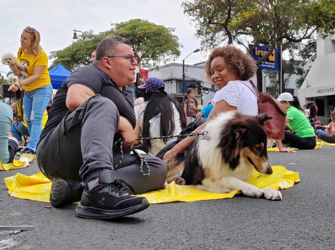 La suavidad de los sonidos le ayuda a las mascotas a sentirse relajadas y en calma.