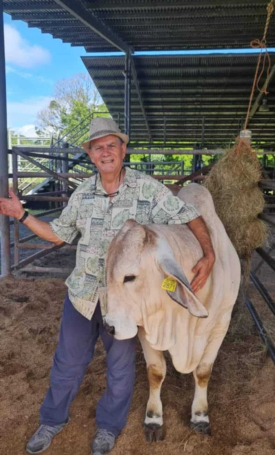 Delio Masis Murcia, de 65 años, luchó por su vida luego de sufrir un fuerte golpe en la cabeza al ser atacado por unos perros. Foto: Cortesía Delio Andrés Masís, hijo.
