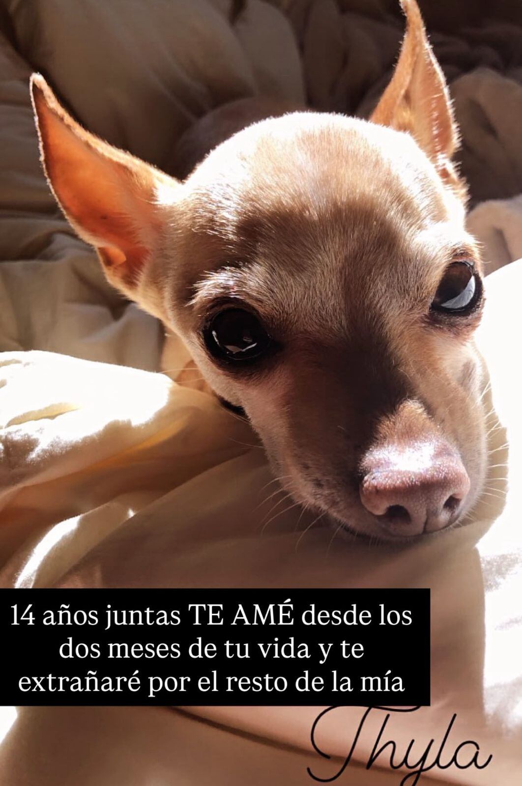 Alejandra Giusti confesó que está con un gran dolor en el corazón.