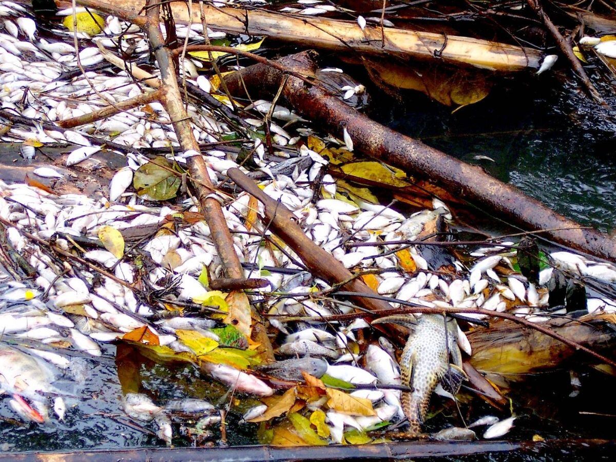 Por años los vecinos de Batán han denunciado los vertederos de plaguicidas en las cuencas de las lagunas y, a pesar de que hay estudios, no se ha hecho nada. Foto: Cortesía.