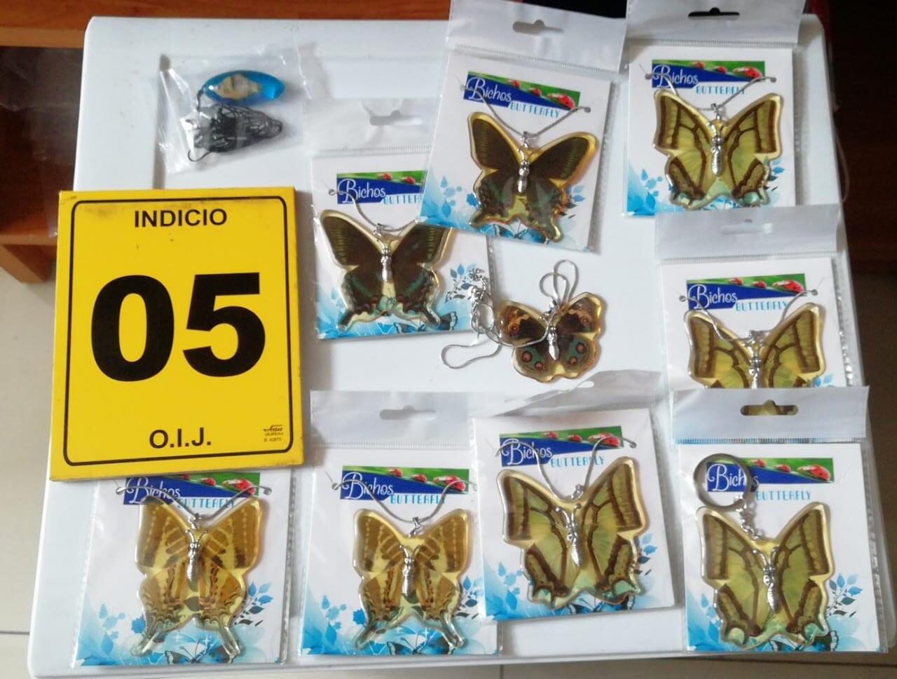 OIJ detiene a mujer sospechosa del delito de Trasiego Internacional de Vida Silvestre. Foto OIJ.