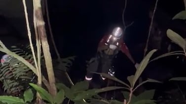 Cruz Roja hace rescate de película a hombre y a sus perros atrapados por cabeza de agua