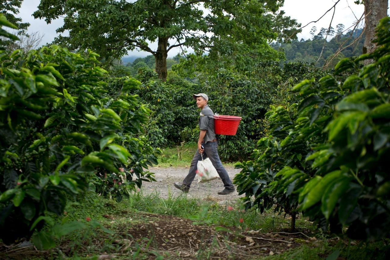 Los interesados deben tener más de 15 años y contar con permiso de trabajo. Cortesía.