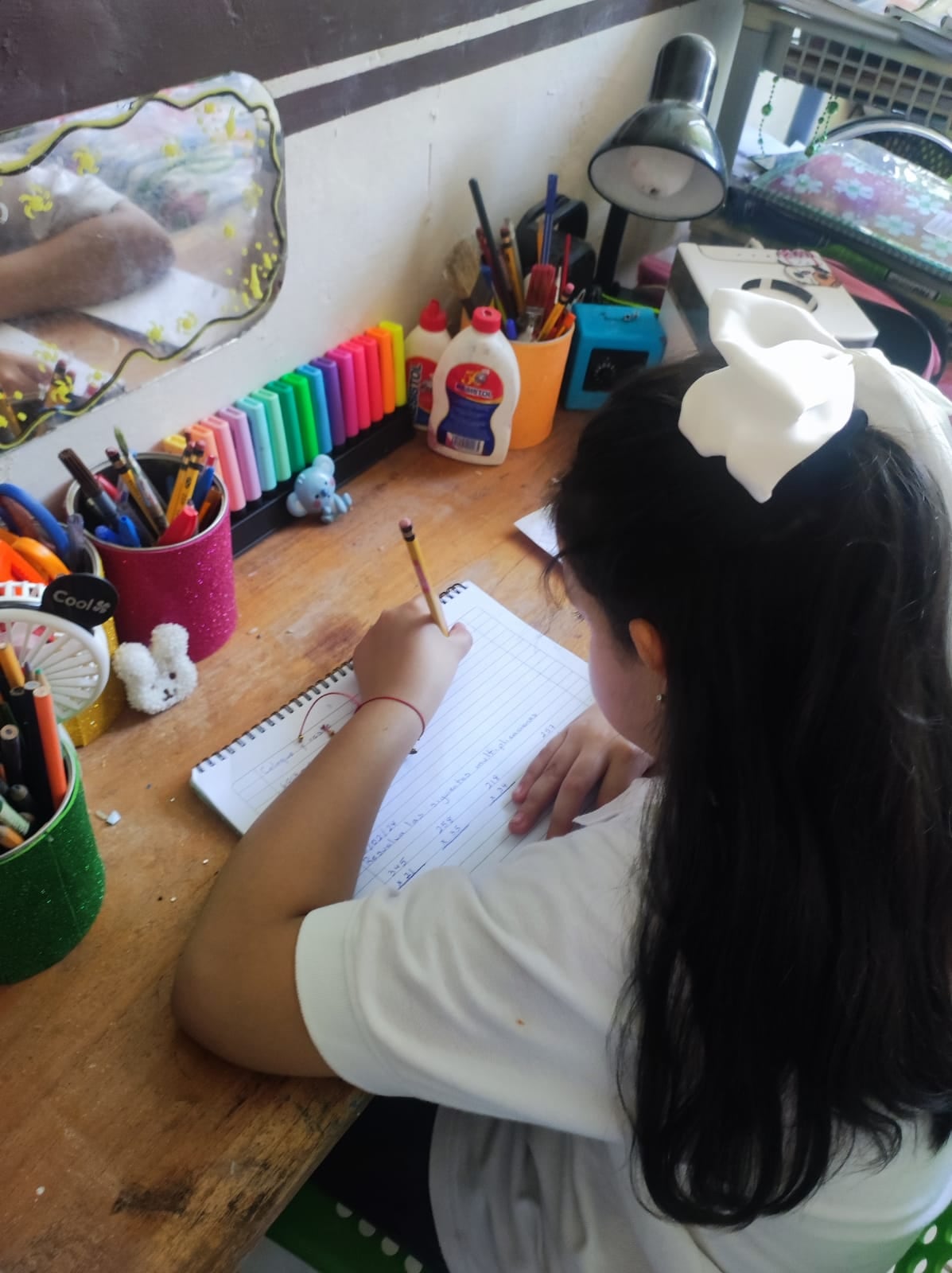 Paola González creó los Zuadernos, un cuaderno diseñado para personas zurdas.