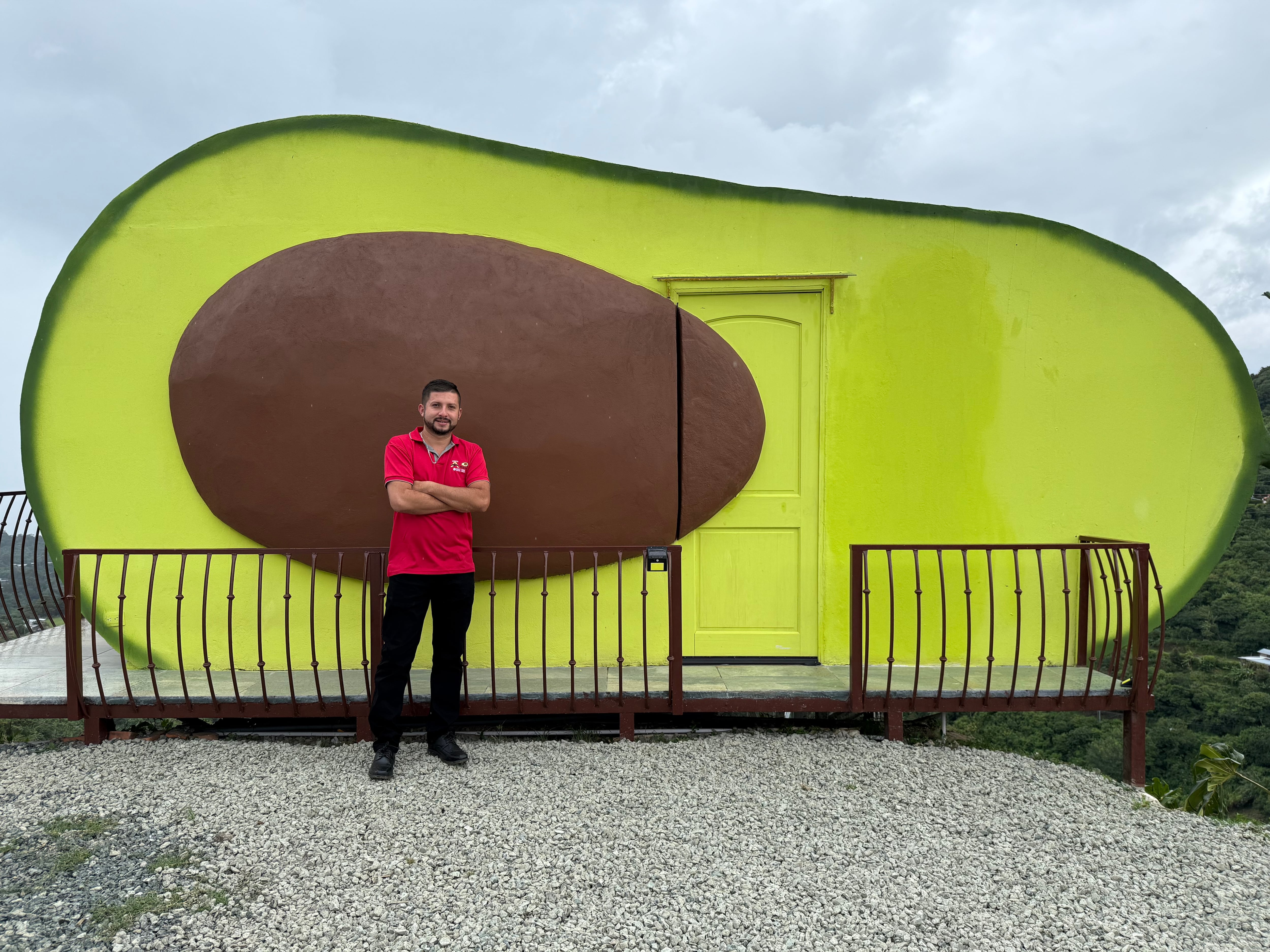 Aguacate de Ensueño