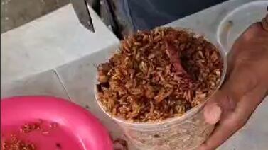 Un arroz cantonés muy “especial”, valorado en más de ¢200 mil, fue hallado por un perro policía en bus
