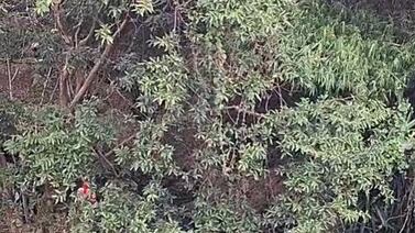 Lamentable hallazgo en río sacude a tranquila comunidad este Día de la Madre