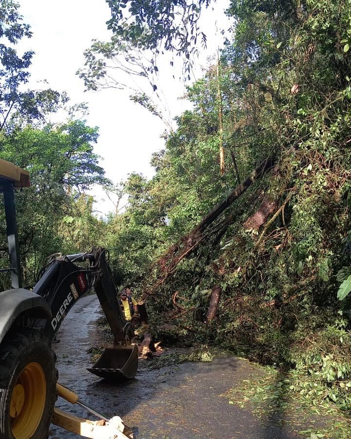 Las lluvias y ventoleros provocaron caída de materiales en dos puntos de la ruta 32.