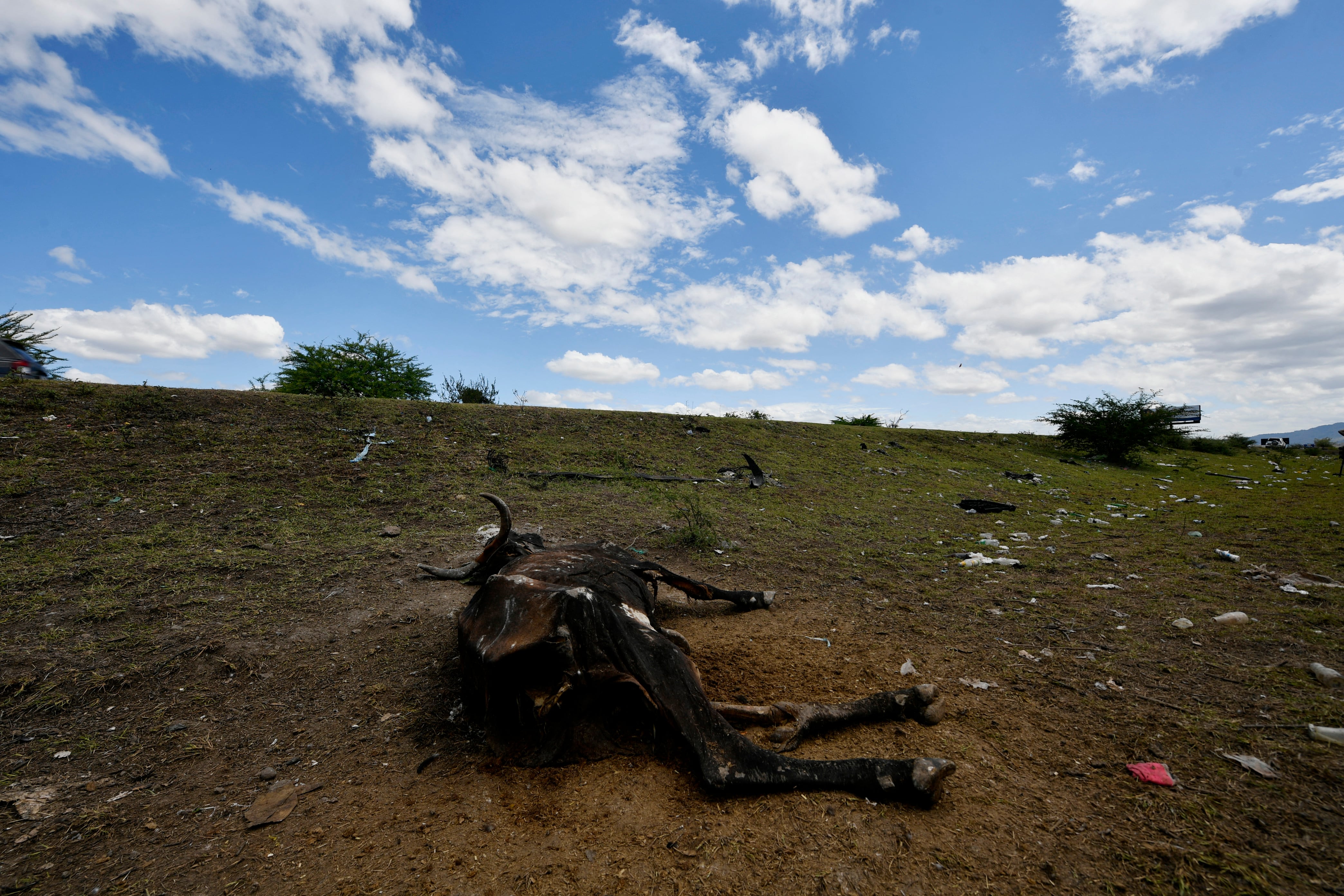 Sequía en Centroamérica por el fenónemo de El Niño